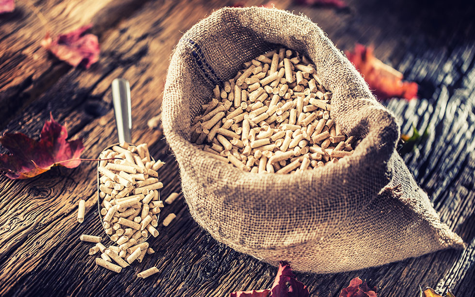 El Otoño, la temporada perfecta para abastecerse de Pellet de Biomasa de Calidad